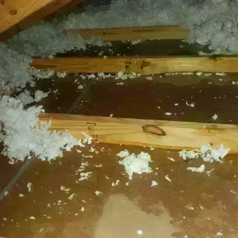 Attic Water Damage in Louisburg, NC